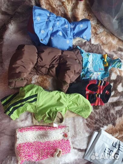 Одежда для маленьких собак