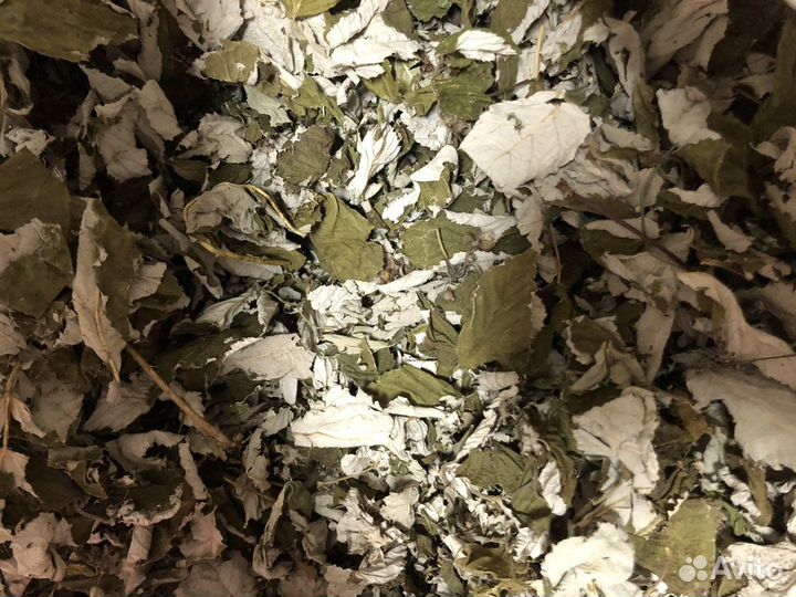 Малина лист