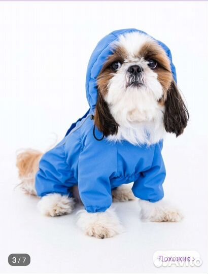 Одежда для собак