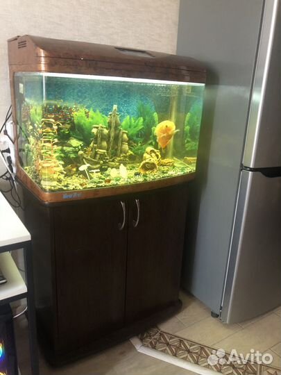 Продам аквариум б/у на 140 литров и тумбу