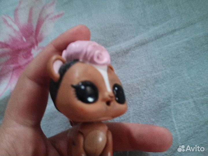 Лол питомец