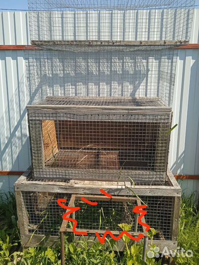 Клетки для кур, цыплят и кроликов, кормушки,поил