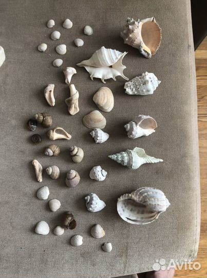 Принадлежности для аквариума