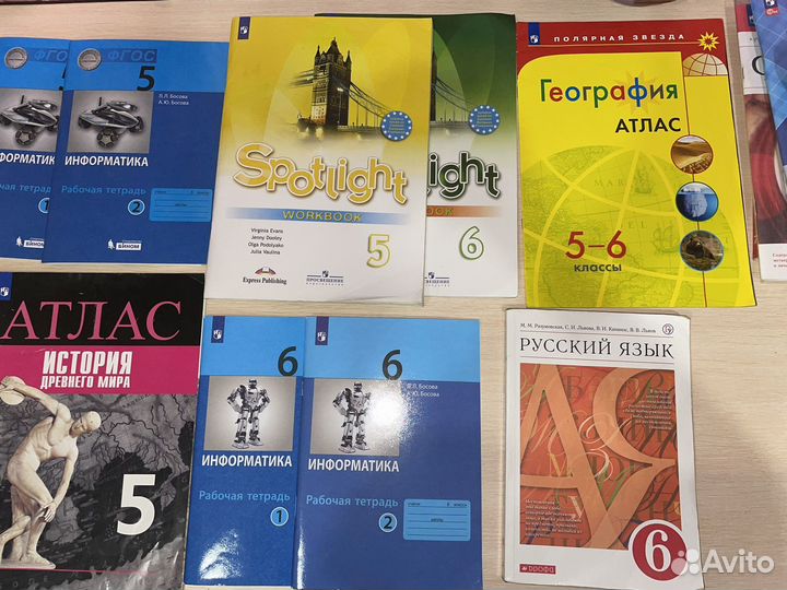 Рабочие тетради 5,6 класс