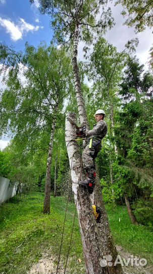 Удаление и спил деревьев Покос травы