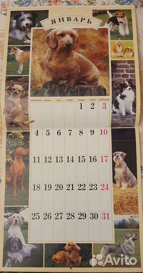 Календарь 1999 Собаки
