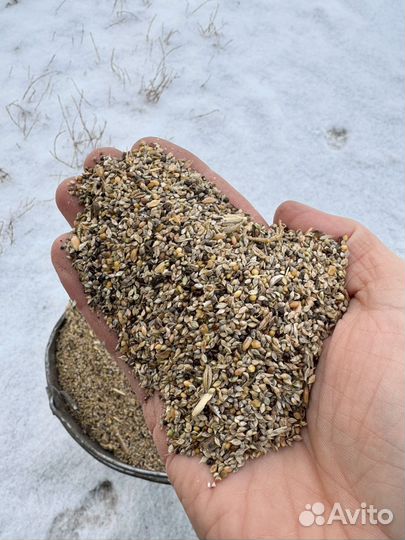 Зерно отходы, мелкая фракция