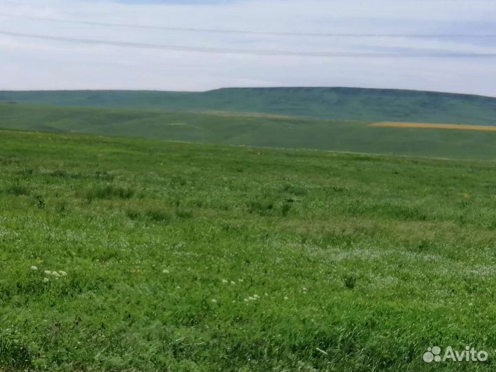 Покос травы, спил деревьев