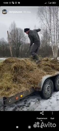 Разнорабочий