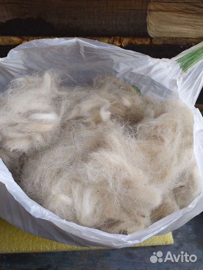 Собачья шерсть