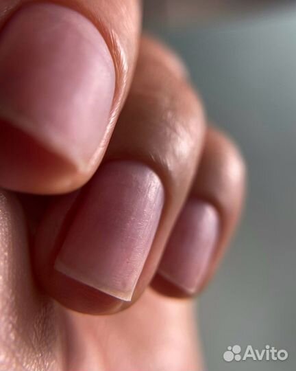 Маникюр,педикюр, гель-лак ЖК «Шуваловский»