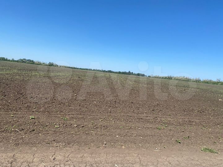 Участок 4 га (СНТ, ДНП)