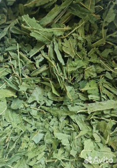 Кипрей (Иван-чай)