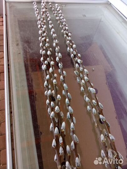 Верба букеты