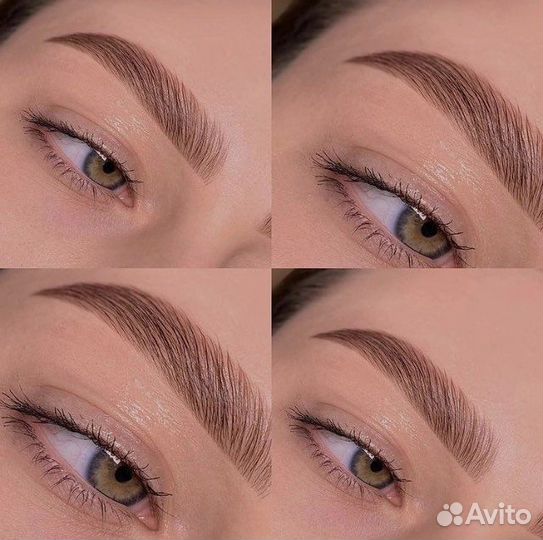 Курс Мастер-Бровист