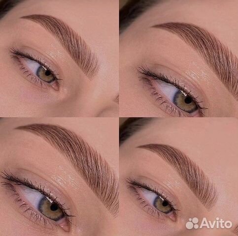 Курс Мастер-Бровист