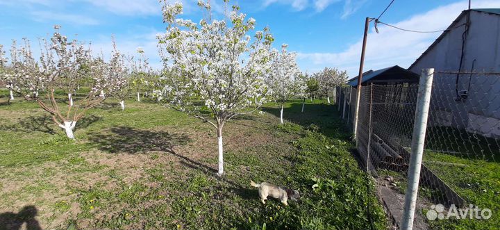 Лпх - Усадьба на зем участке 7.7 га