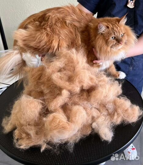 Груминг стрижка собак и кошек