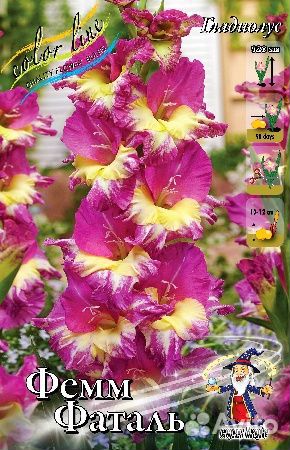 Гладиолусы сортовые, гофрированные, крупные