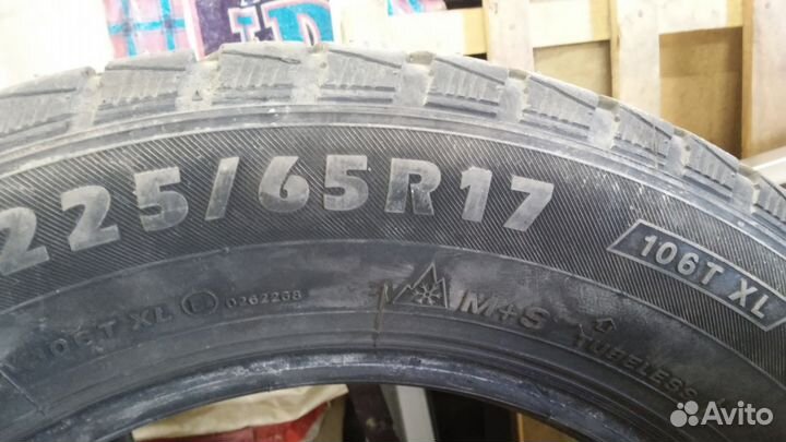 Brasa IceControl 225/65 R17