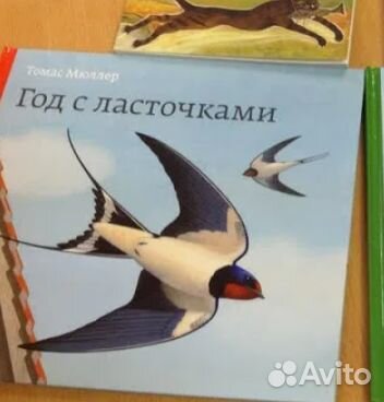 Книга Год с ласточками