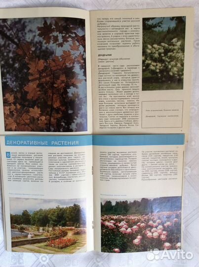 Комплекты открыток. Путеводители. Сенполия книга