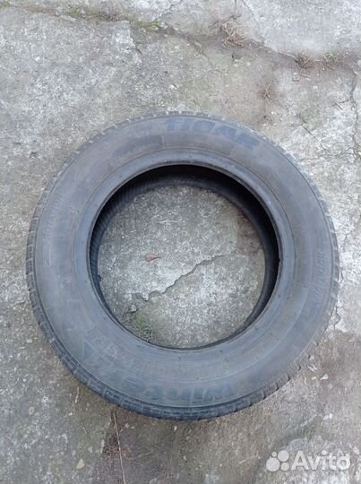 Tigar Winter 1 155/70 R13
