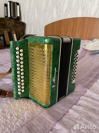 Гармонь Троянда