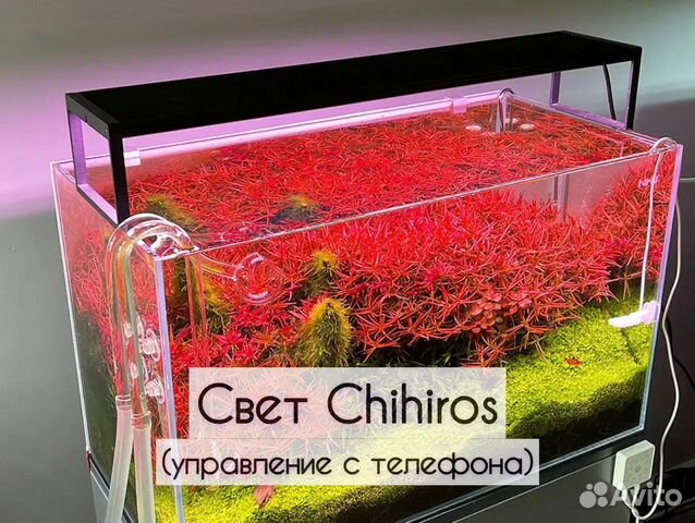 Светодиодный светильник для аквариума Chihiros купить в Санкт ...