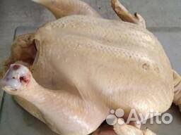 Куры бройлеры, мясо, цыплята