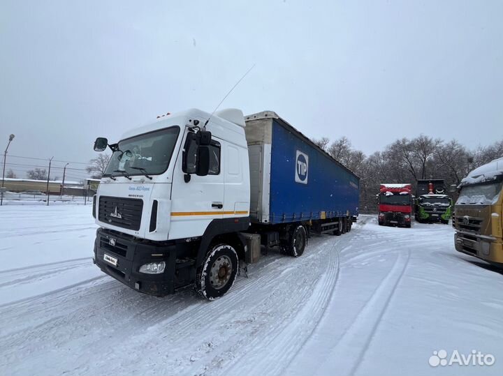 Полуприцеп тентованный Schmitz Cargobull S01, 2006