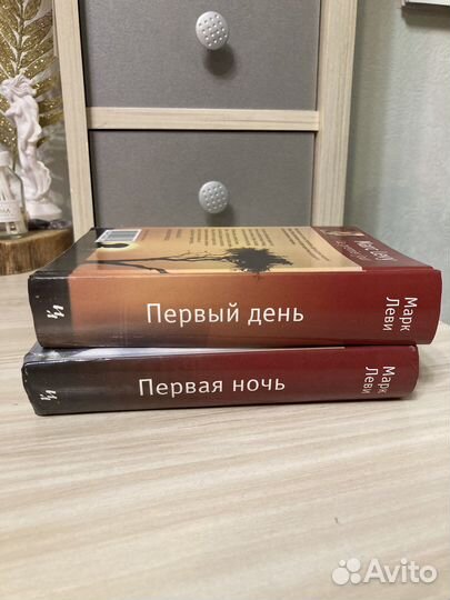 Марк Леви. Первый день. Первая ночь