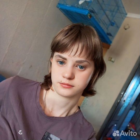 Графический Дизайнер