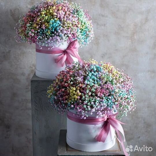 Композиция Гипсофилы