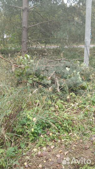 Утилизируем ветки