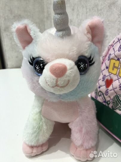 Кот в переноске