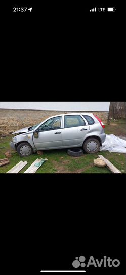 Разбор калина