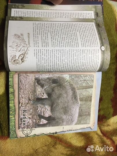 Книга про Охоту