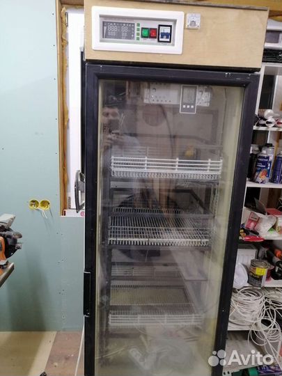 Инкубатор для яиц