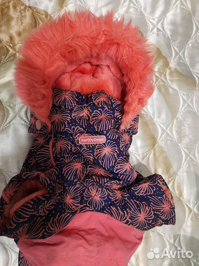 Зимний комбинезон