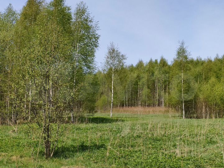 Участок 11,2 га (СНТ, ДНП)