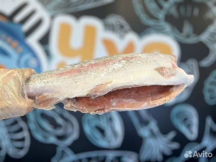 Форель свежемороженная