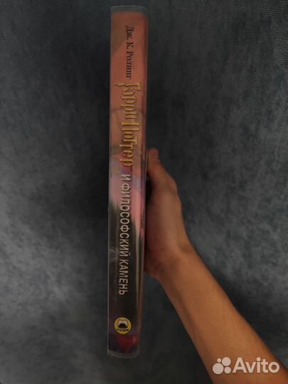 Гарри Поттер и философский камень, 2002 г