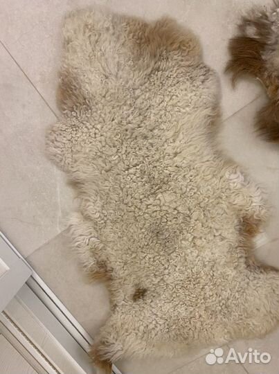 Шкура овечья