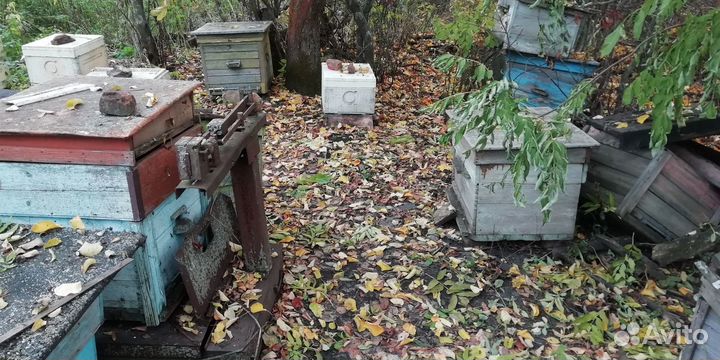 Ульи для пчел