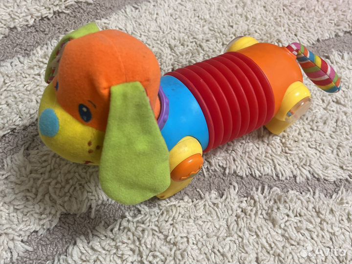 Собака тини лав