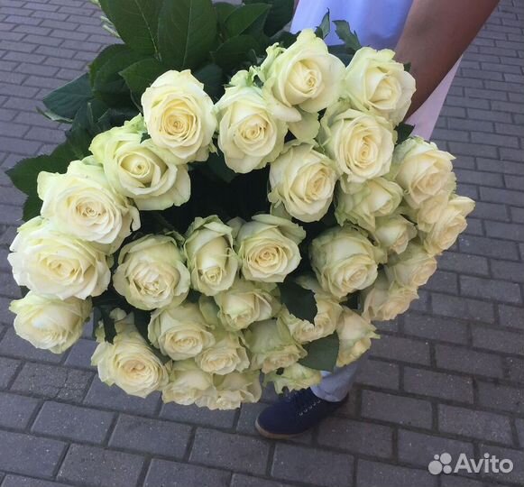 Розы Доставка цветов 35 51 101 роза Цветы