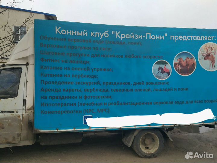 Скотовозки, коневозки, зоотакси