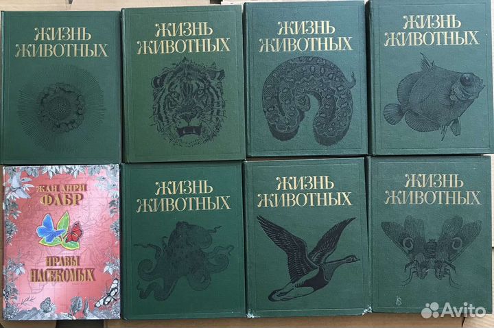 Энциклопедии различные