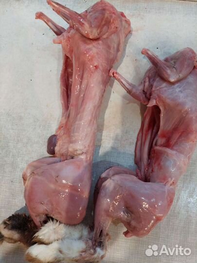 Домашние куриные яйца